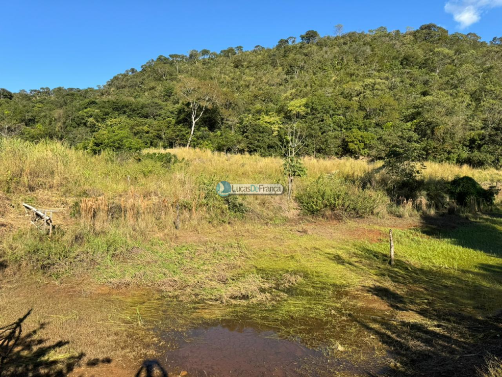 Chácara com 14 hectares na Rajadinha (10)