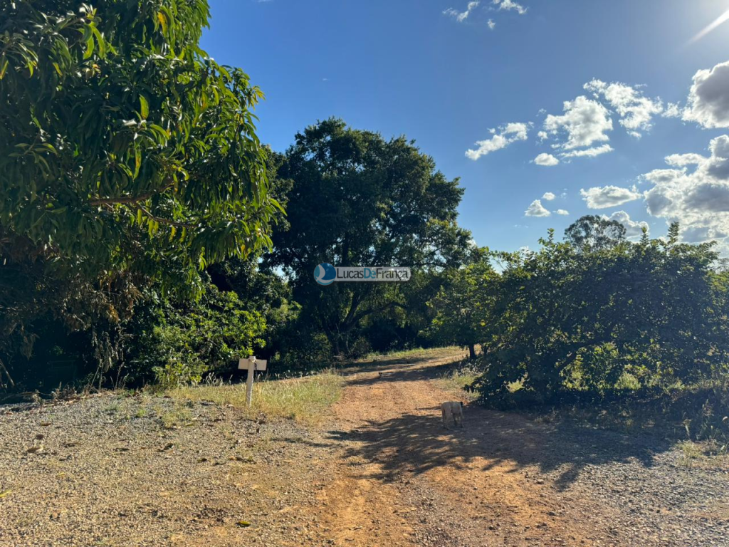 Chácara com 14 hectares na Rajadinha (3)