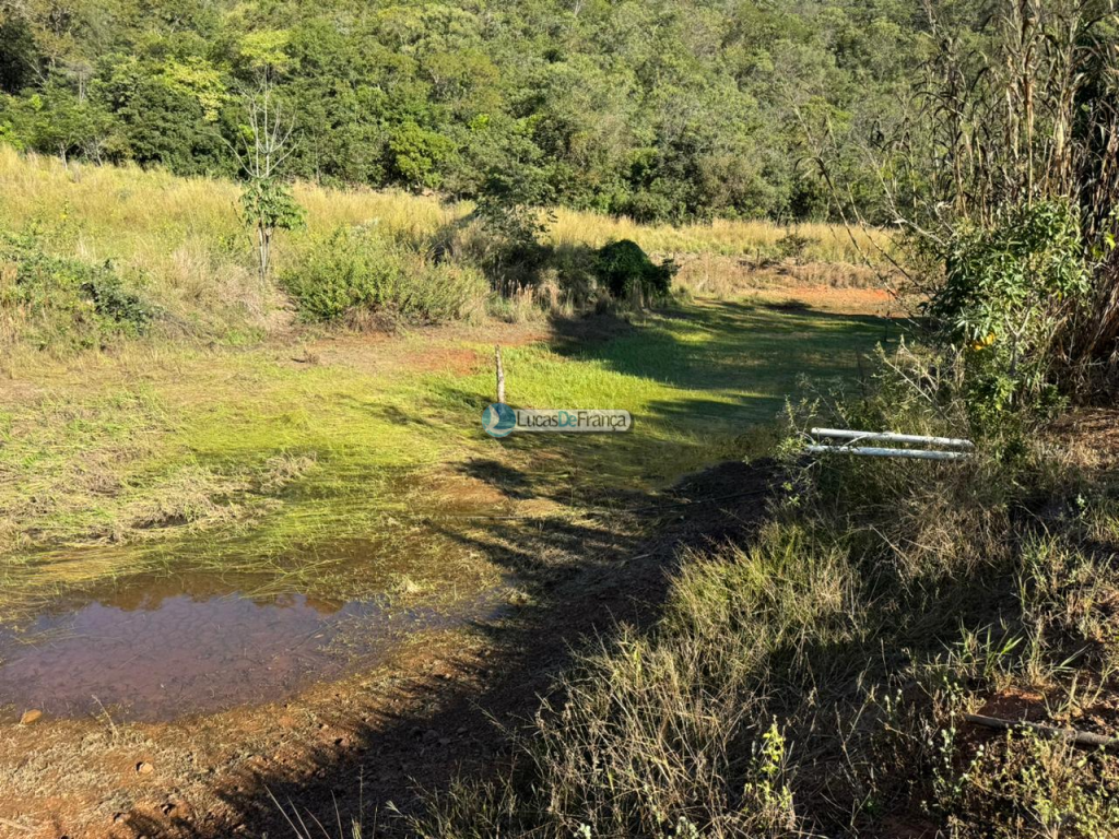 Chácara com 14 hectares na Rajadinha (5)