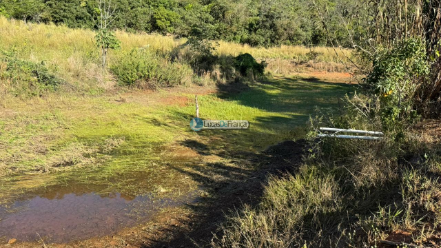 Chácara com 14 hectares na Rajadinha