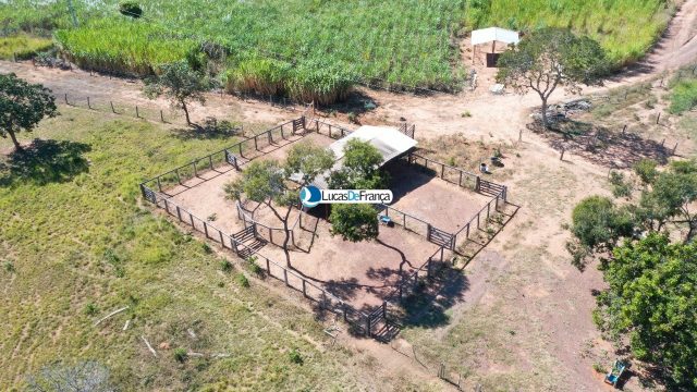 Fazenda de 182 hectares a 30km de Formosa-GO