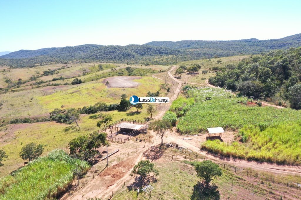 Fazenda de 182ha a 30 Km de Formosa-GO (5)