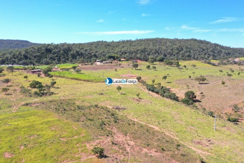 Fazenda de 182ha a 30 Km de Formosa-GO (6)