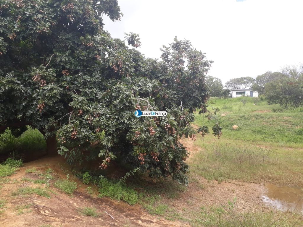 Chácara localizada entre Cristalina e Luziânia (12)