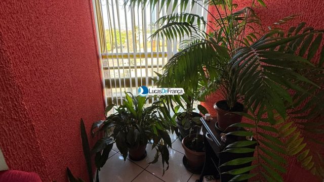 Apartamento no melhor prédio da quadra 01 Vila Buritis