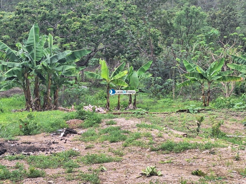 Chácara de 1 hectare no Bonsucesso (6)