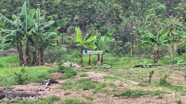 Chácara de 1 hectare no Bonsucesso em Planaltina-DF