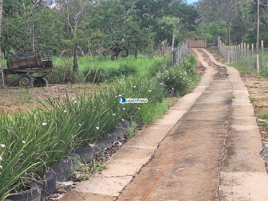 Chácara de 1 hectare no Bonsucesso (8)