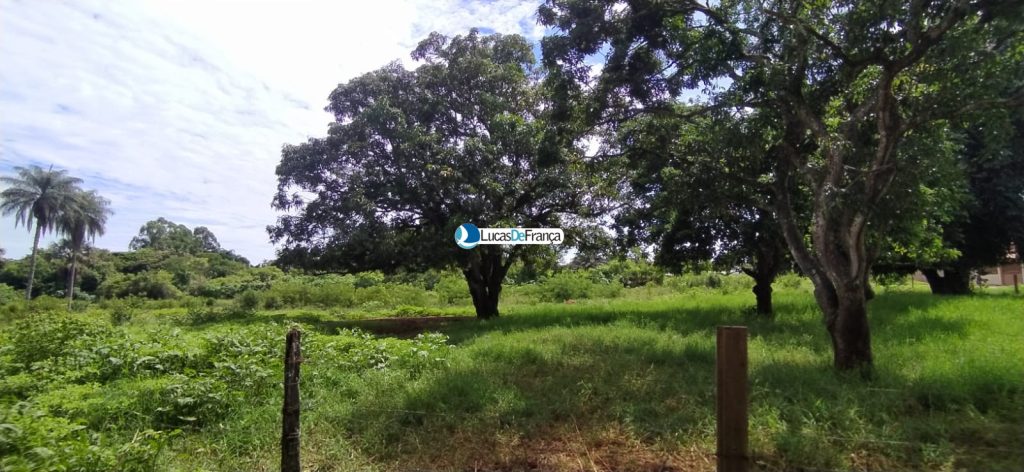 chácara de 3.9 hectares em Planaltina (10)