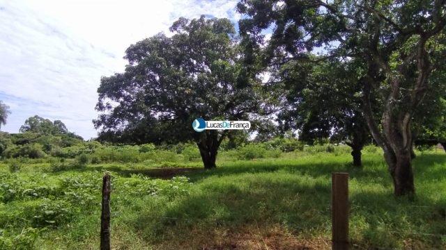 Chácara de 3.9 hectares em Planaltina