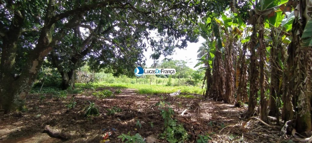 chácara de 3.9 hectares em Planaltina (14)