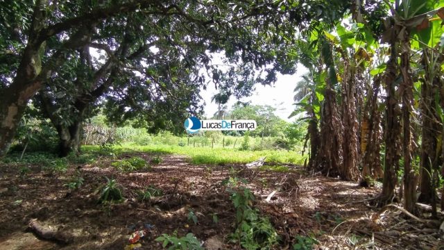 Chácara de 3.9 hectares em Planaltina