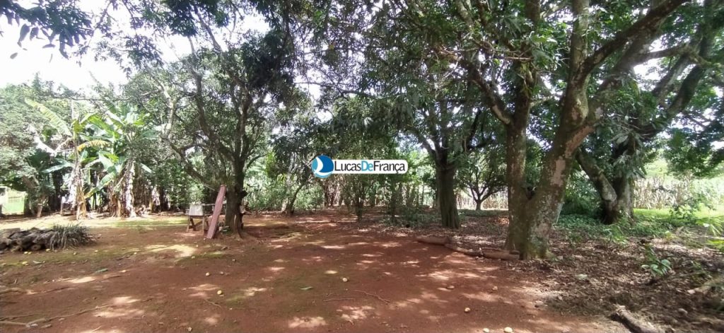 chácara de 3.9 hectares em Planaltina (15)