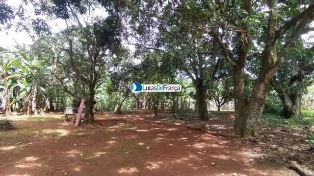 Chácara de 3.9 hectares em Planaltina