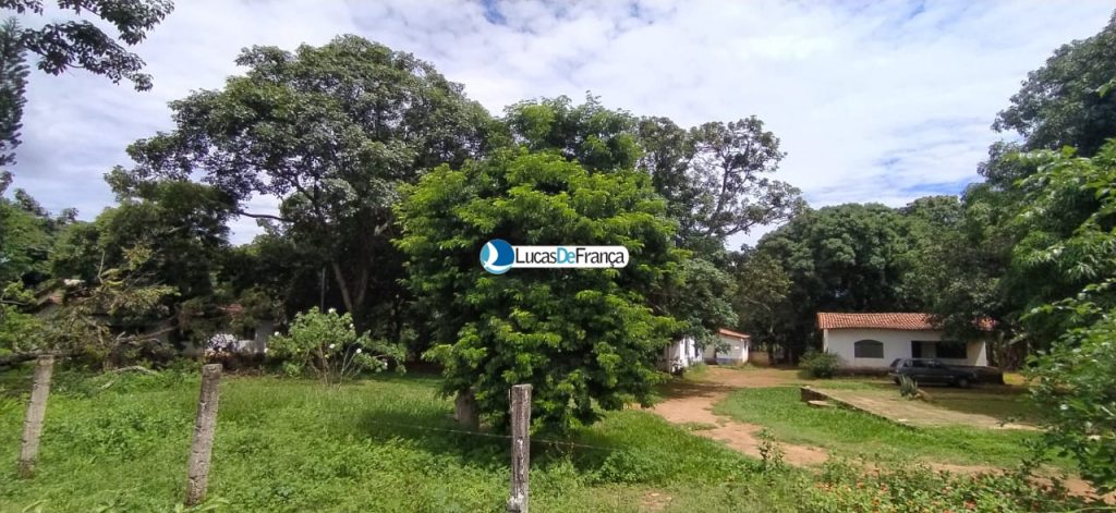 chácara de 3.9 hectares em Planaltina (2)