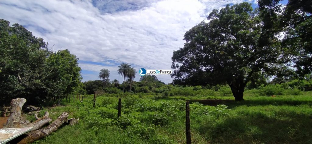 chácara de 3.9 hectares em Planaltina (5)