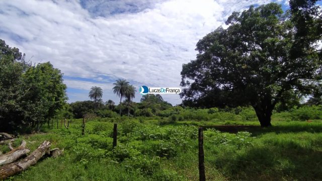 Chácara de 3.9 hectares em Planaltina