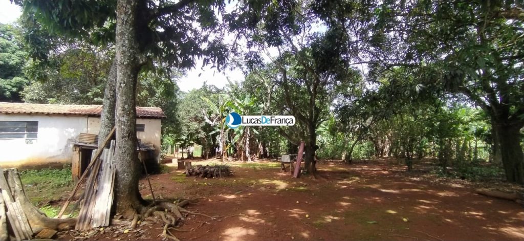 chácara de 3.9 hectares em Planaltina (9)