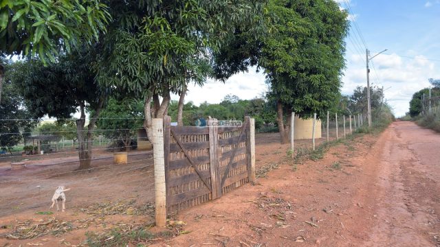 Chácara com 5.000m² em Nova Petrópolis – BR-010 (Entrada 3 para São Gabriel/GO)