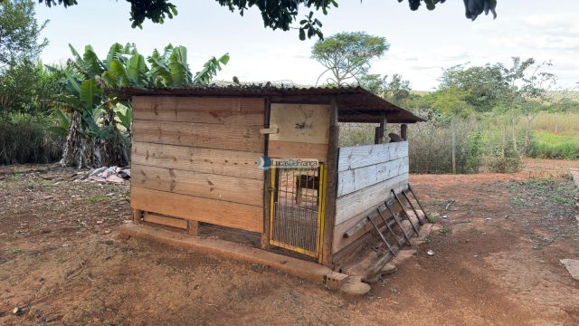 Chácara com 5.000m² em Nova Petrópolis – BR-010 (Entrada 3 para São Gabriel/GO)