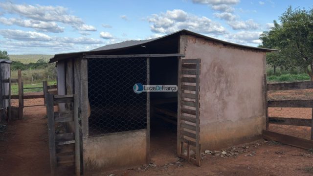 Chácara com 5.000m² em Nova Petrópolis – BR-010 (Entrada 3 para São Gabriel/GO)