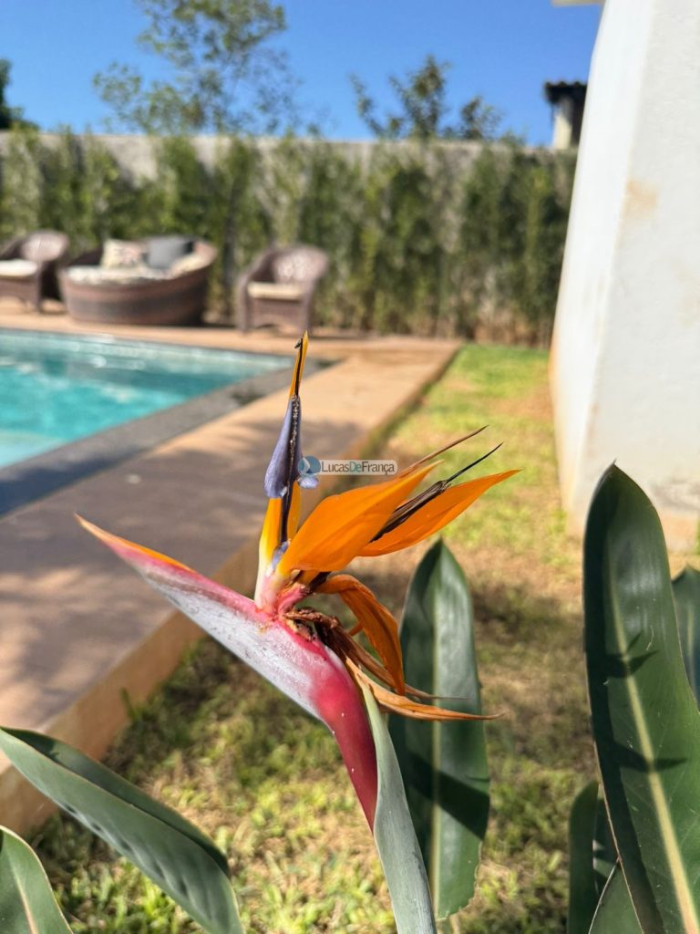 casa de alto padrão (14)