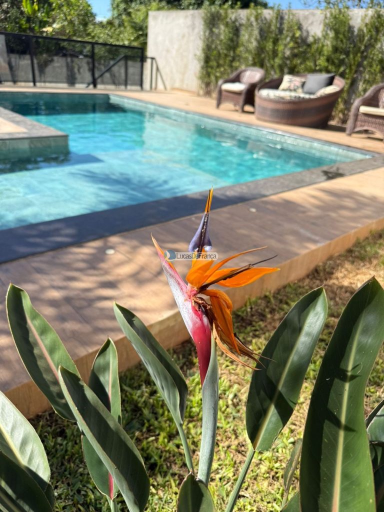 casa de alto padrão (19)