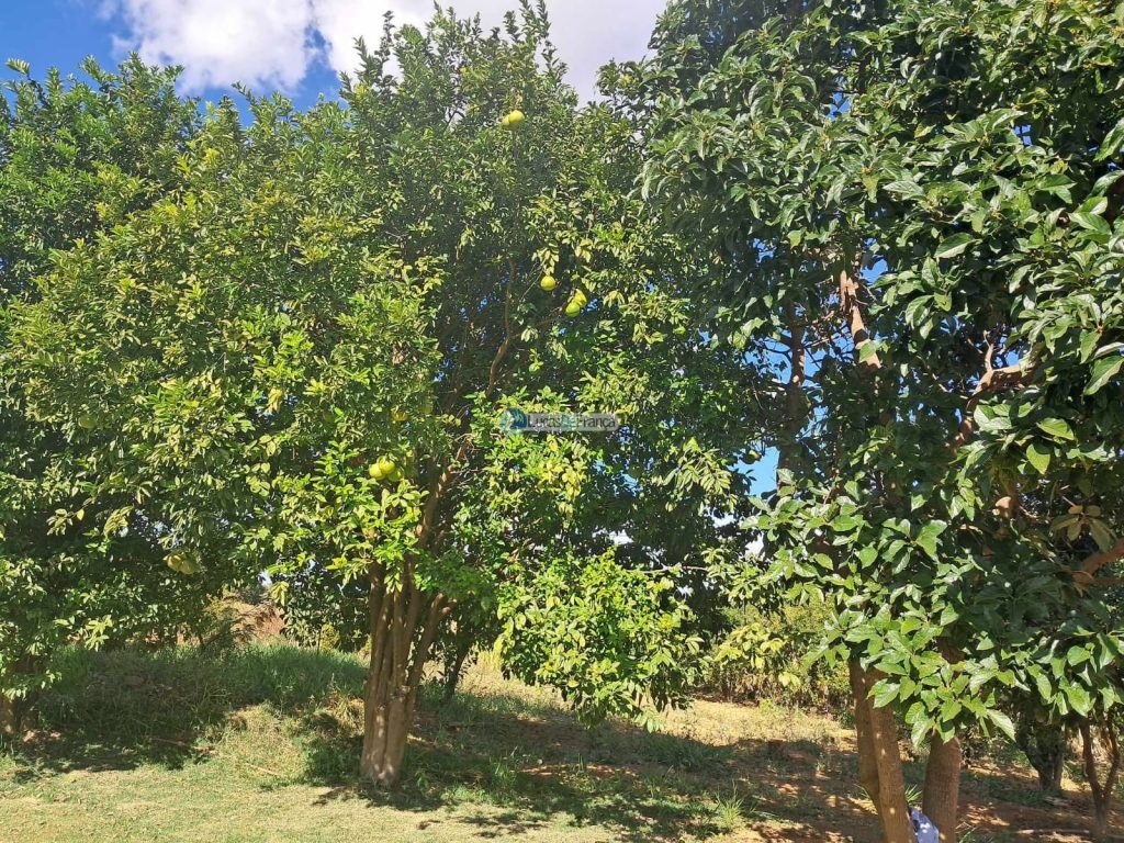 Chácara em Planaltina DF (11)