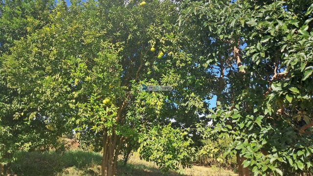 Chácara em Planaltina DF, acesso pela BR 128 após a CPRV na região de Águas Emendadas.