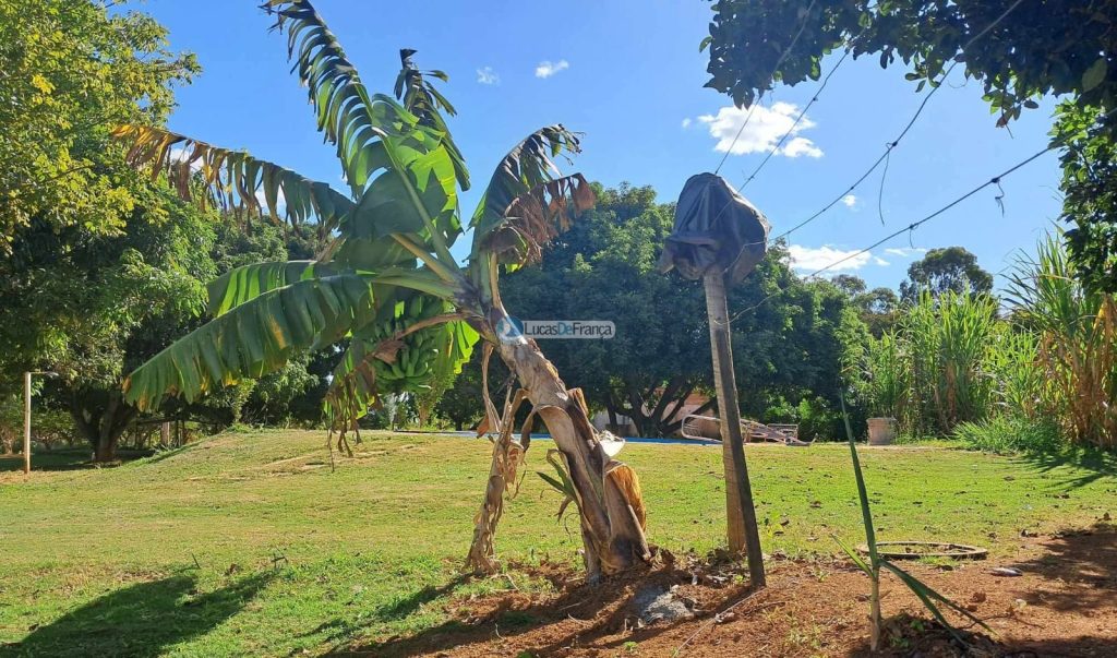 Chácara em Planaltina DF (2)