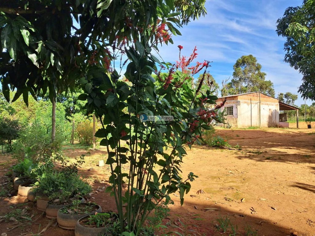 Chácara em Planaltina DF (34)