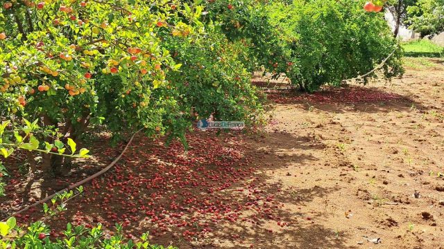 Chácara em Planaltina DF, acesso pela BR 128 após a CPRV na região de Águas Emendadas.