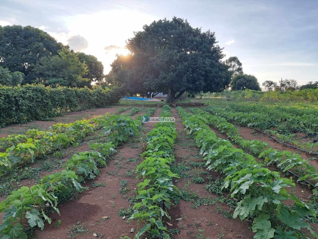 Chácara em Planaltina DF (47)