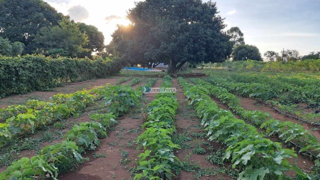 Chácara em Planaltina DF, acesso pela BR 128 após a CPRV na região de Águas Emendadas.