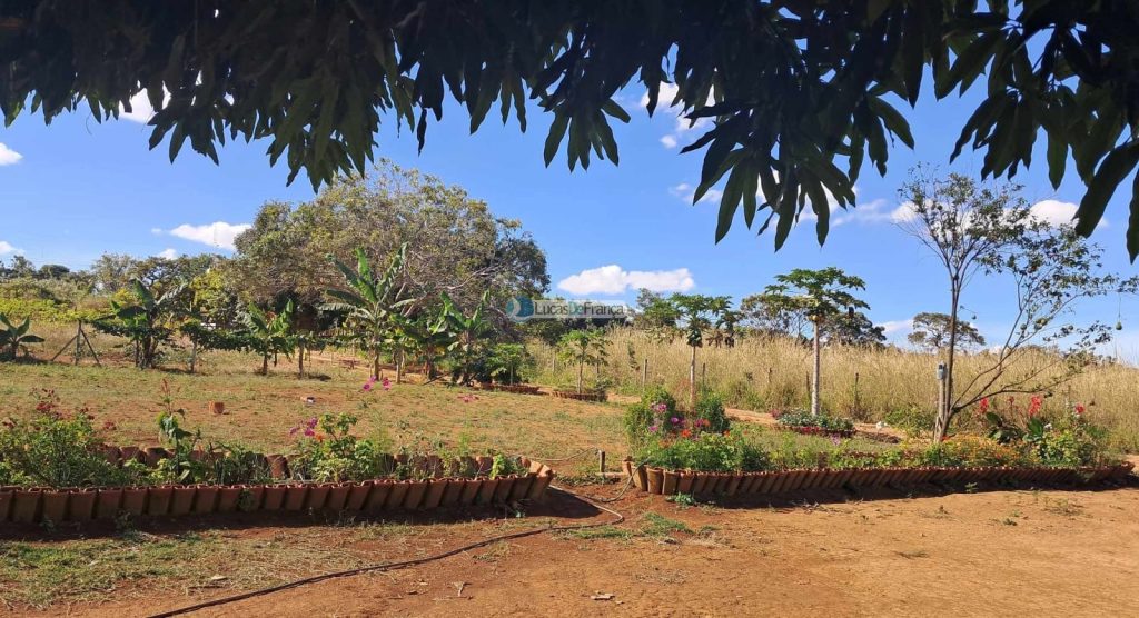 Chácara em Planaltina DF (48)