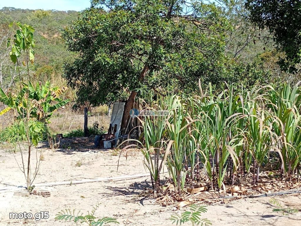 chácara no Bomsucesso depois da Cprv (5)