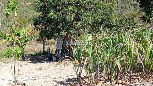 Chácara no Bomsucesso depois da Cprv