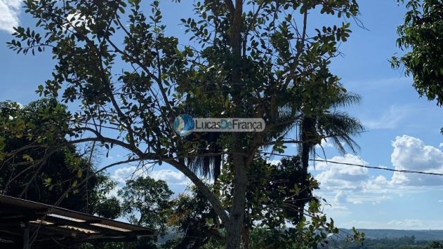 Chácara no Núcleo Rural Santos Dumont