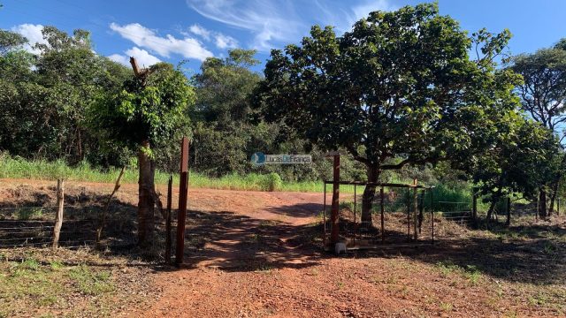 Chácara no Núcleo Rural Santos Dumont