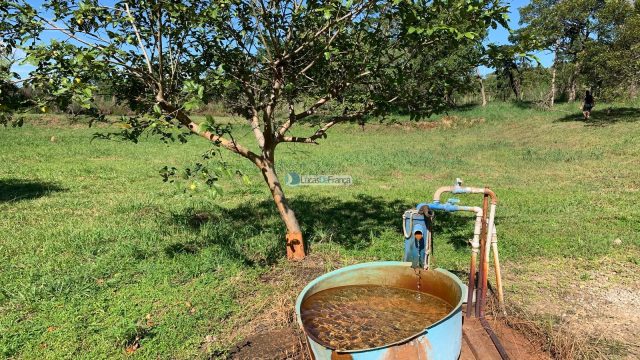Chácara no Núcleo Rural Santos Dumont