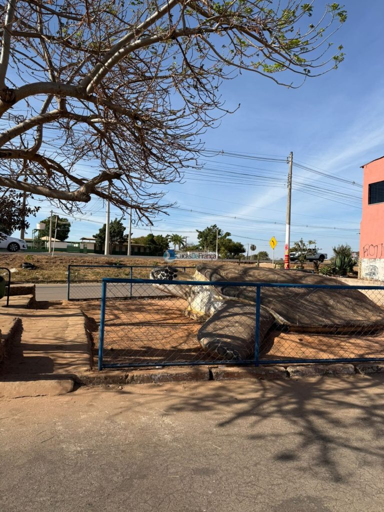 Sobrado no Vale do Amanhecer (14)