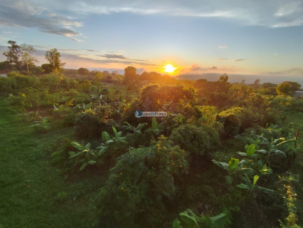 Chácara de 2 hectares em Planaltina DF (10)