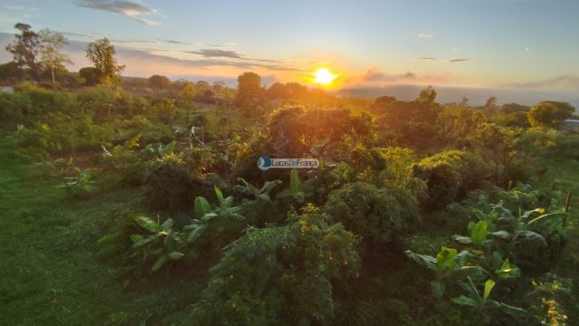 Chácara de 2 hectares (20.000m2) em Planaltina -DF (próximo a BR020)