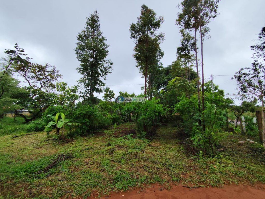 Chácara de 2 hectares em Planaltina DF (11)