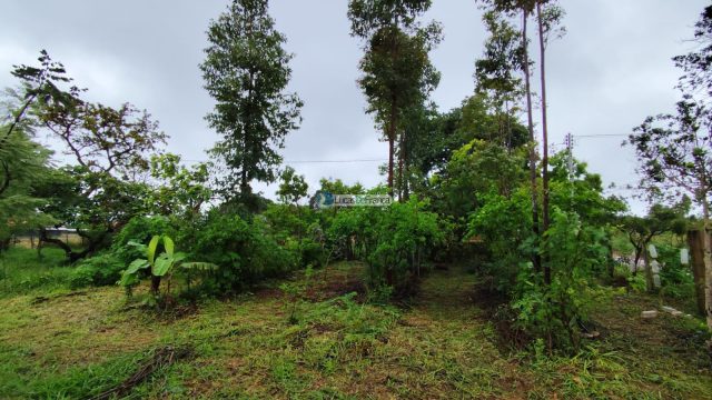 Chácara de 2 hectares (20.000m2) em Planaltina -DF (próximo a BR020)