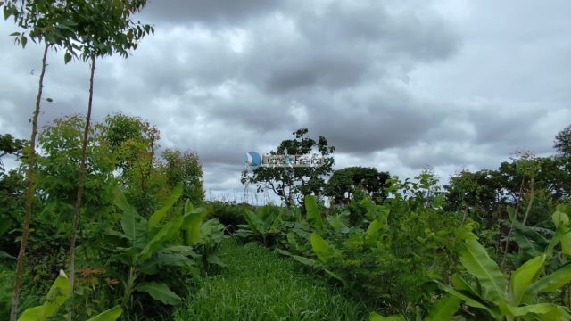 Chácara de 2 hectares (20.000m2) em Planaltina -DF (próximo a BR020)