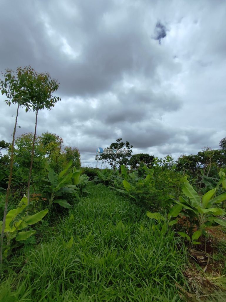 Chácara de 2 hectares em Planaltina DF (2)