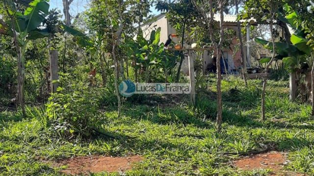 Chácara de 2 hectares (20.000m2) em Planaltina -DF (próximo a BR020)