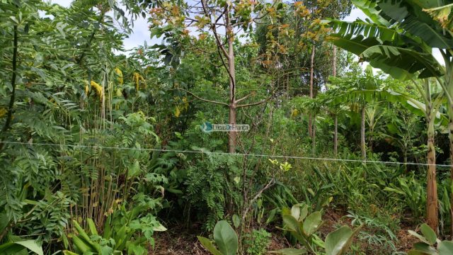 Chácara de 2 hectares (20.000m2) em Planaltina -DF (próximo a BR020)