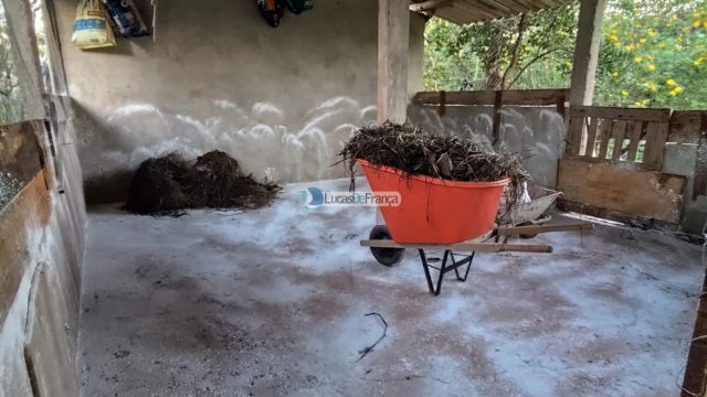 Chácara de 2 hectares (20.000m2) em Planaltina -DF (próximo a BR020)